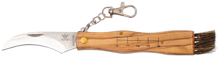 Pilzmesser mit Olivenholz - Rostfrei