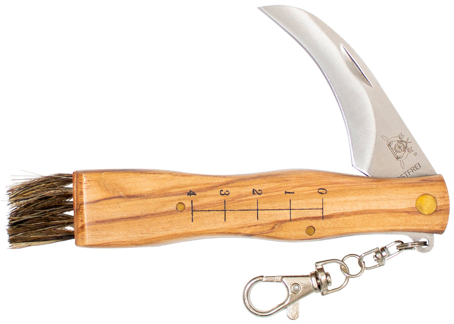 Pilzmesser mit Olivenholz - Rostfrei